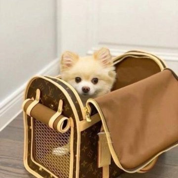 Сумки-переноски для животных Louis Vuitton 