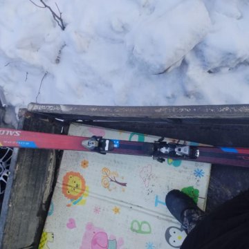 Горные лыжи