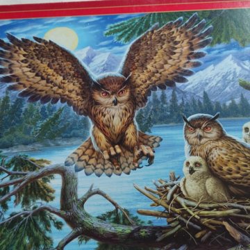 Пазлы Совы сова 1000