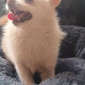 Малыш помчи