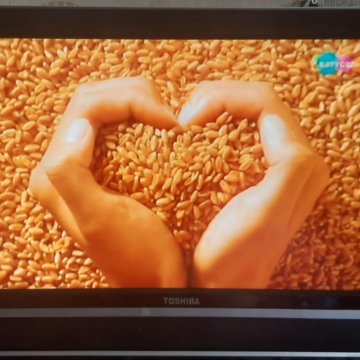 Телевизор TOSHIBA