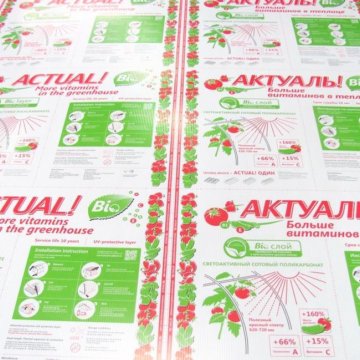 Поликарбонат Актуаль Био Купить В Казани