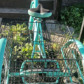 Велосипед взрослый трехколесный