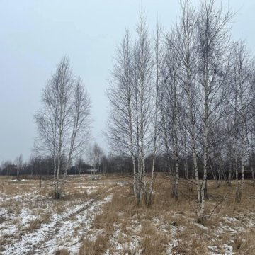 Першино Раменский Район Купить Земельный Участок