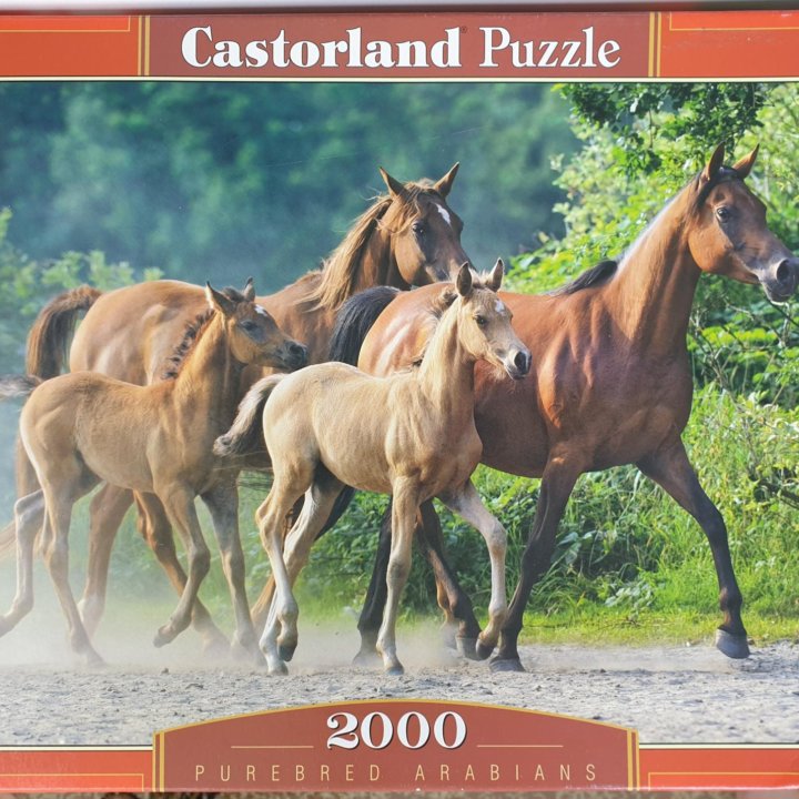 Пазл Castorland (2 000 деталей)