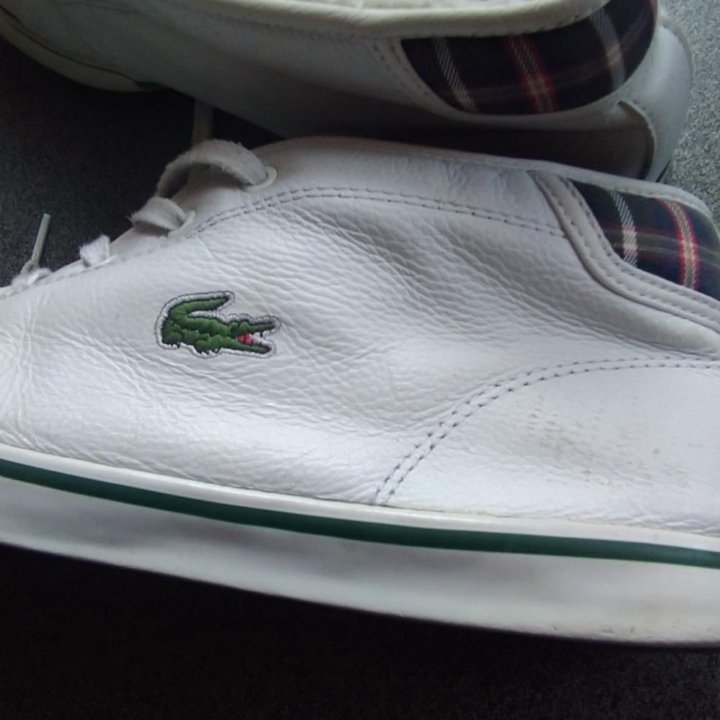 Кроссовки мужские Lacoste