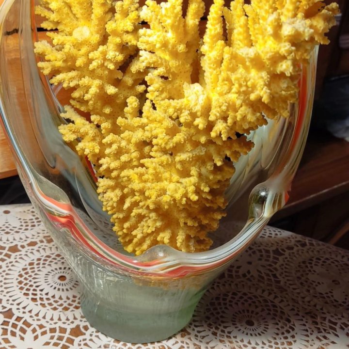 Коралл натуральный