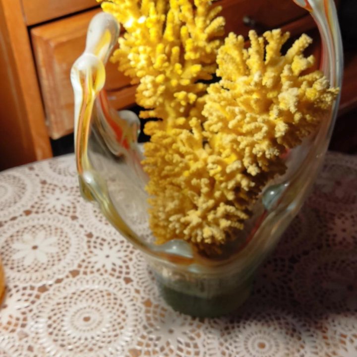 Коралл натуральный