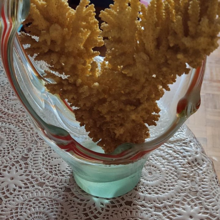 Коралл натуральный