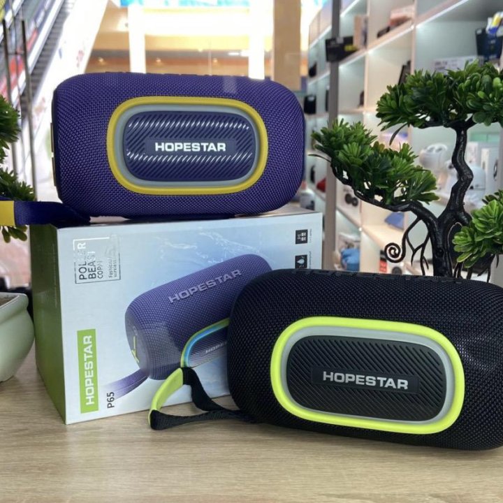 Колонка Hopestar P65 (Новая,гарантия)