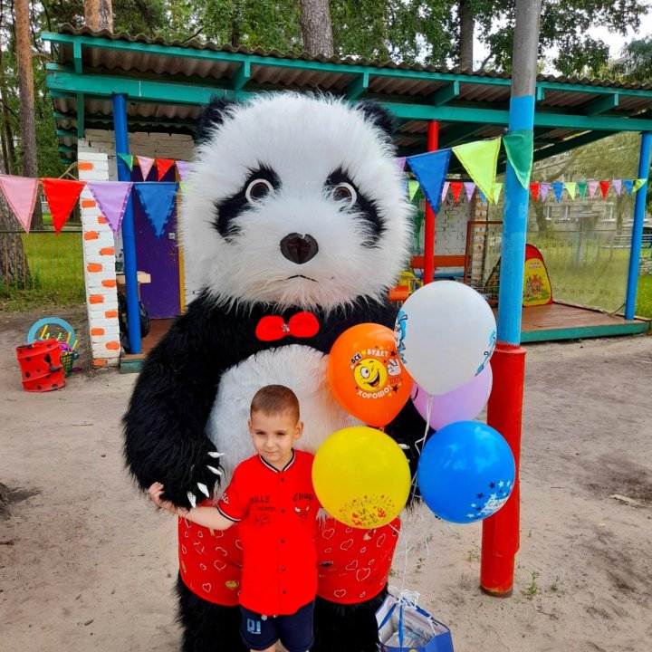 Поздравление белого мишки,панды в Заречном,Пензе