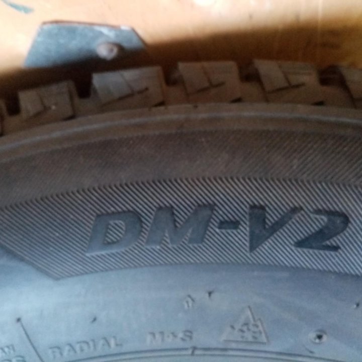 Bridgestone Blizzak dm-v2