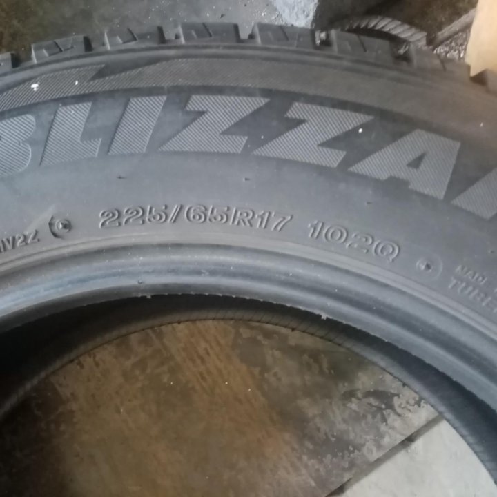 Bridgestone Blizzak dm-v2