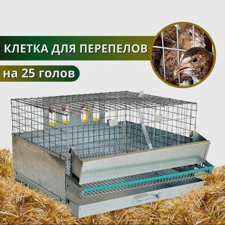 Клетка для перепелов