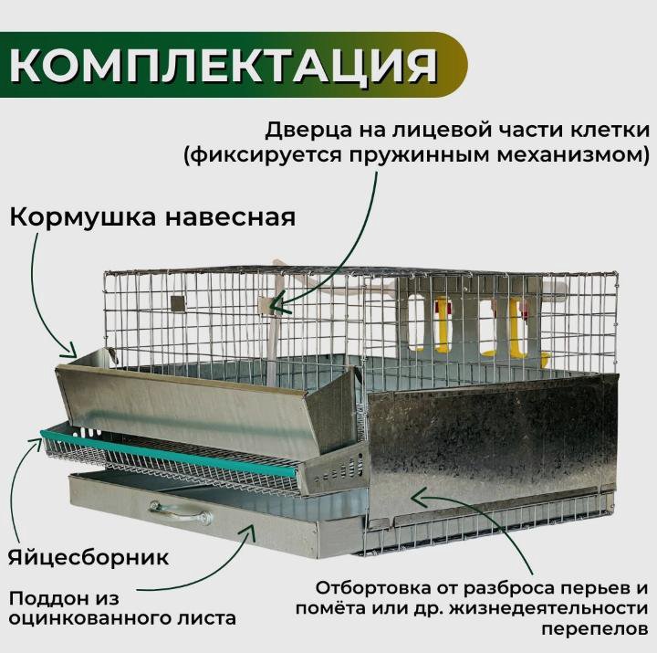 Клетка для перепелов