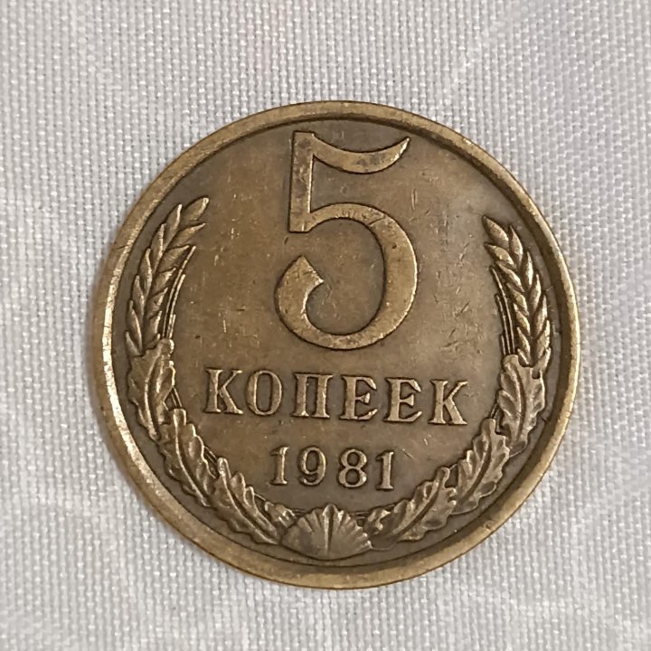 Редкая монета СССР 5 копеек 1981г