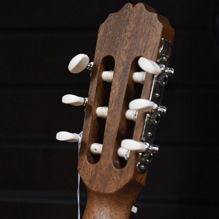 Классическая гитара Prodipe (Комплект)