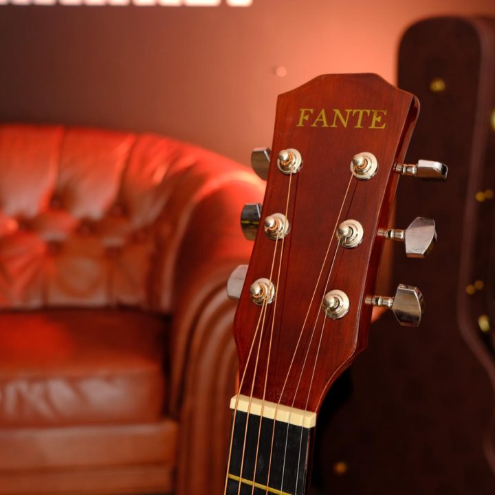 Акустическая гитара Fante (Комплект)
