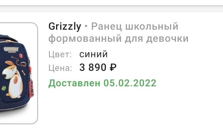 Ранец школьный grizzly