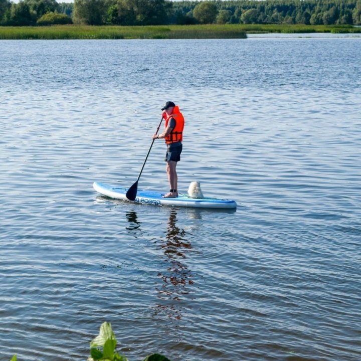 Sup Board аренда