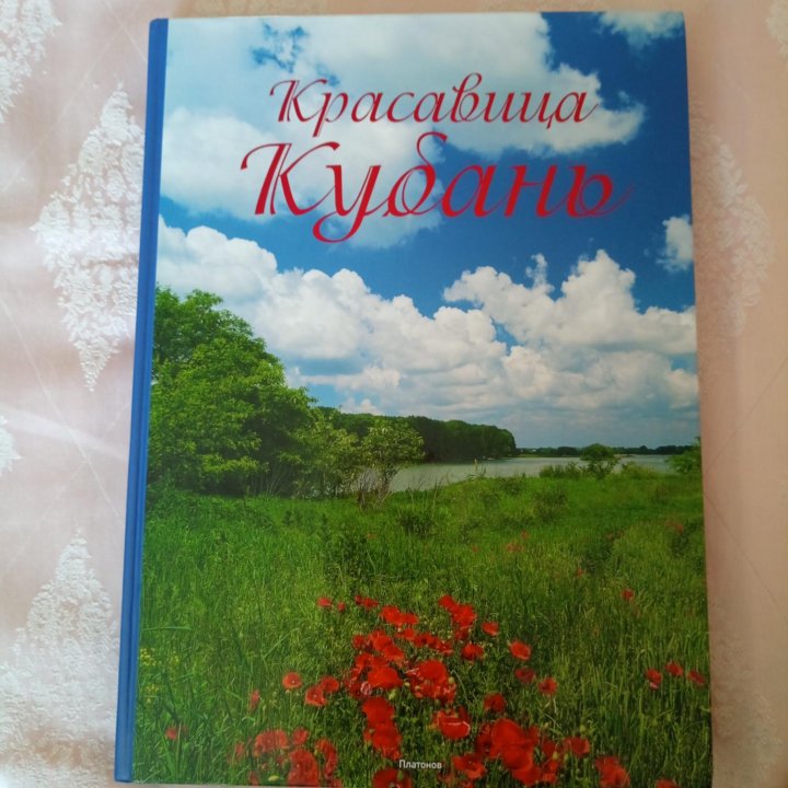 Красавица Кубань, Платонов