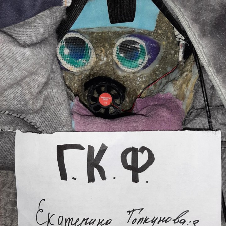 Фурсьют кошки