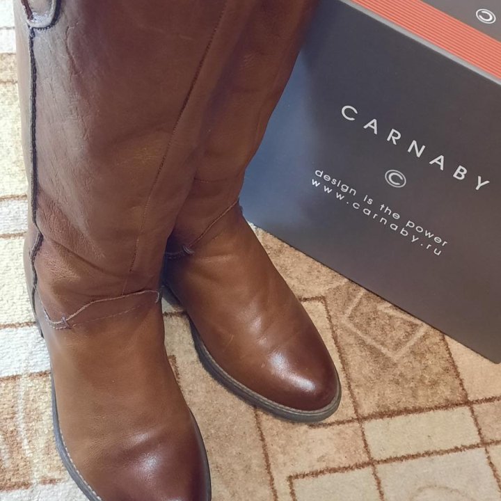 Сапоги демисезонные CARNABY