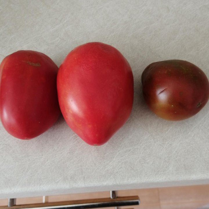 Семена перца, томатов,рассада срез пеларгония.