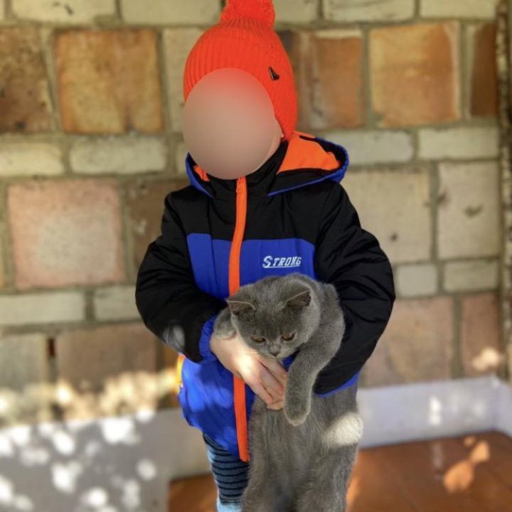 Куртка+шапка