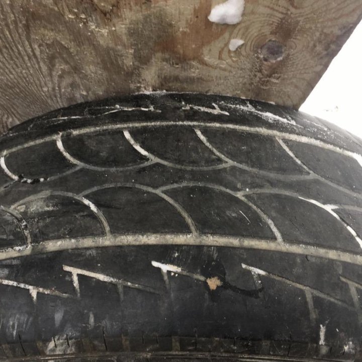 Лето 255/50 R19