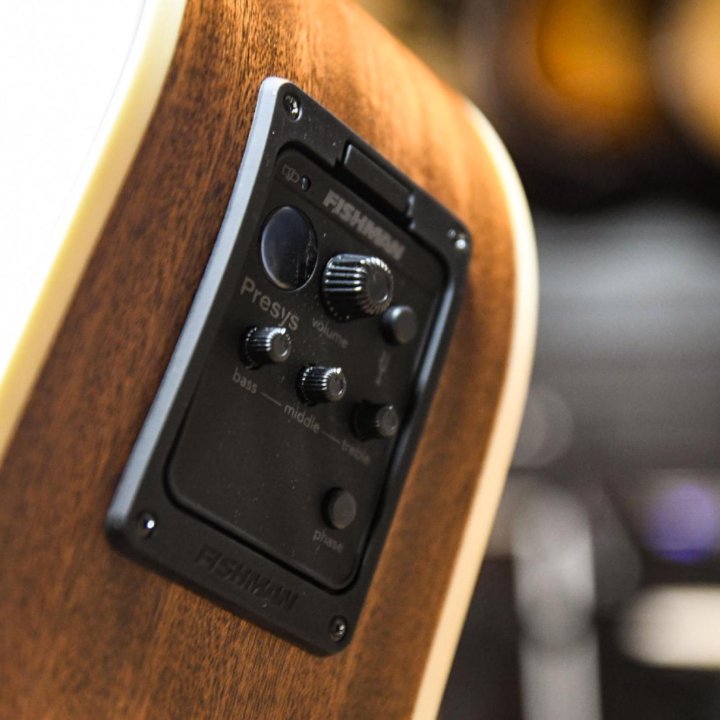 Электроакустическая гитара леворукая (комплект)