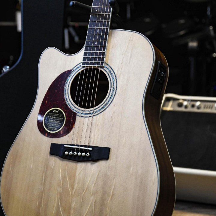 Электроакустическая гитара леворукая (комплект)