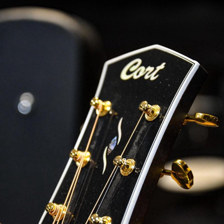 Акустическая гитара Cort (Комплект)