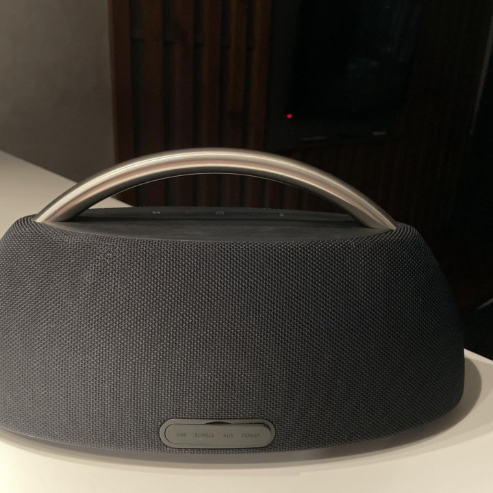 Harman Kardon go play