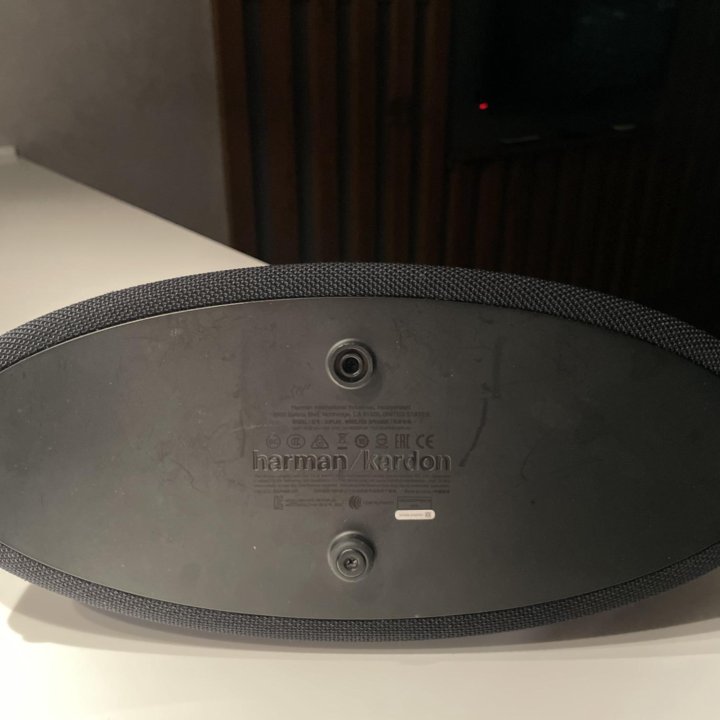 Harman Kardon go play