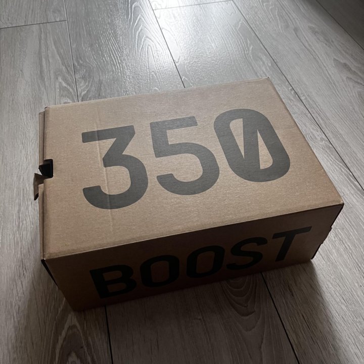 Adidas yeezy boost 350