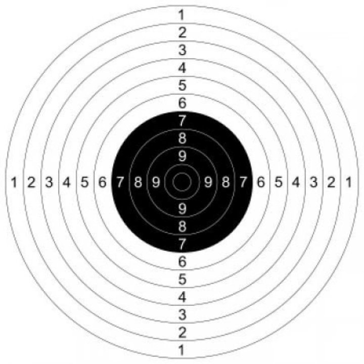Мишень для пристрелки ружей №4 спортивная