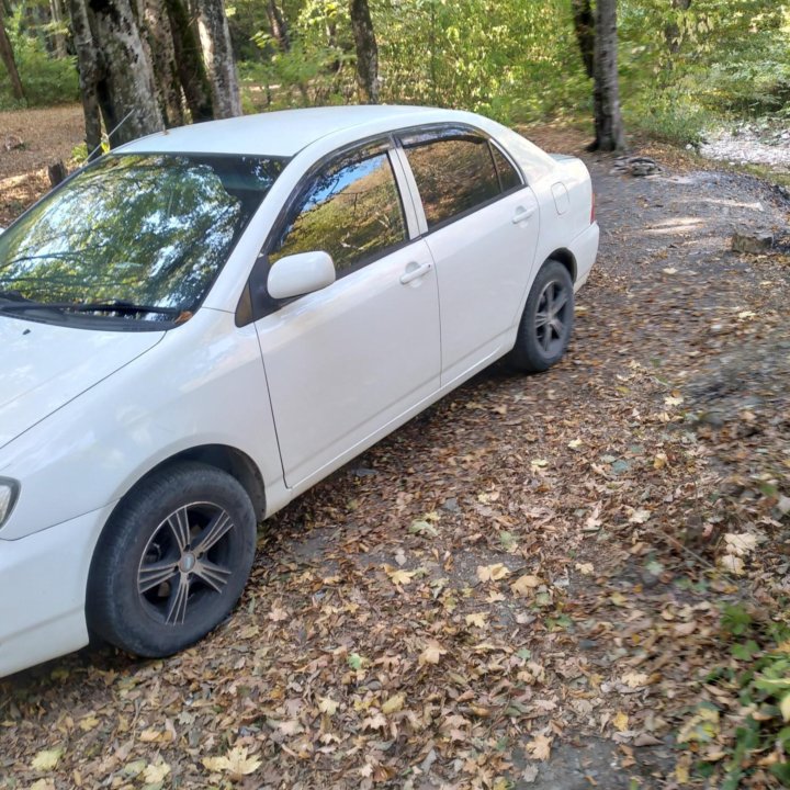 Toyota Corolla, 2000