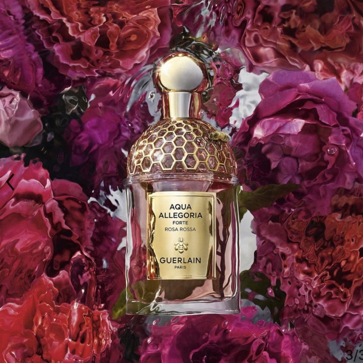 GUERLAIN Aqua Allegoria Forte Rosa Rossa edp 75ml