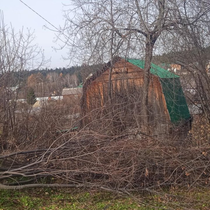 Вырубка кустарников с вашего участка.