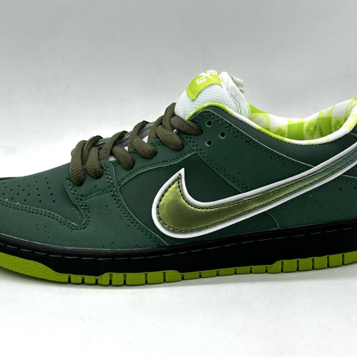 Nike sb dunk low x Concepts