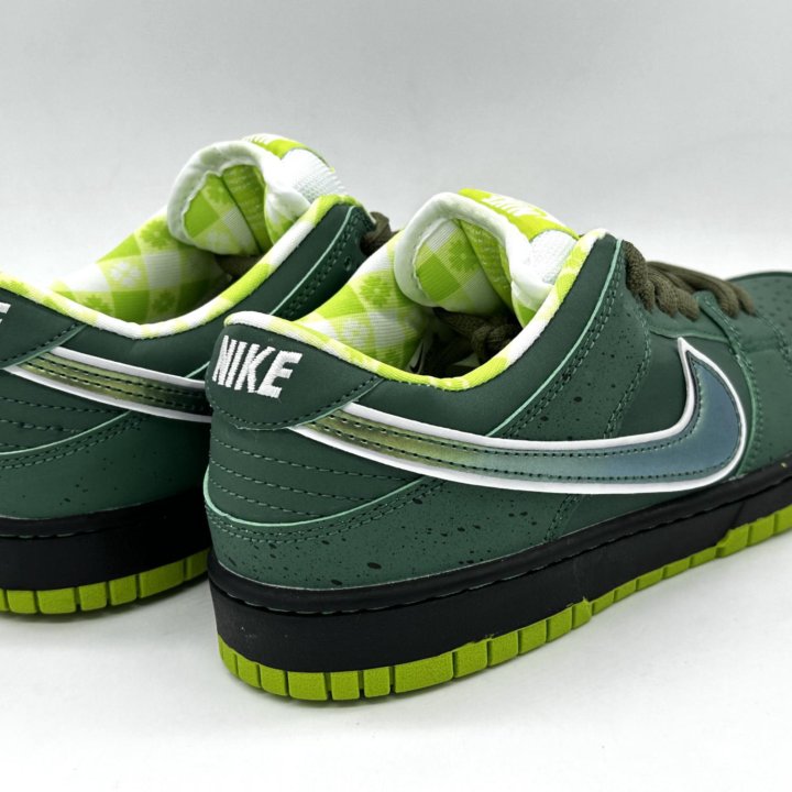 Nike sb dunk low x Concepts