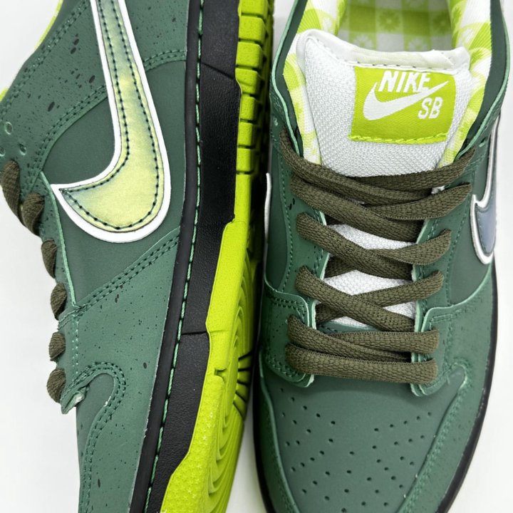 Nike sb dunk low x Concepts