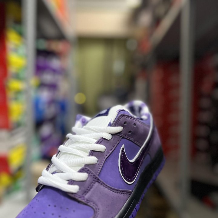 Nike SB Dunk Low Concepts Purple Lobster