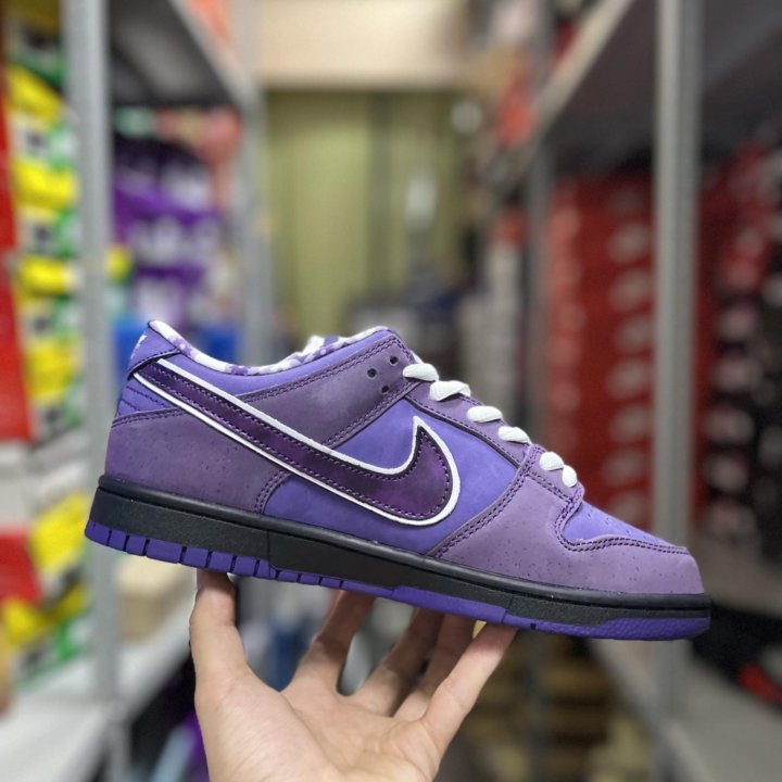 Nike SB Dunk Low Concepts Purple Lobster