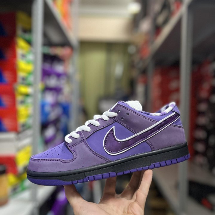 Nike SB Dunk Low Concepts Purple Lobster