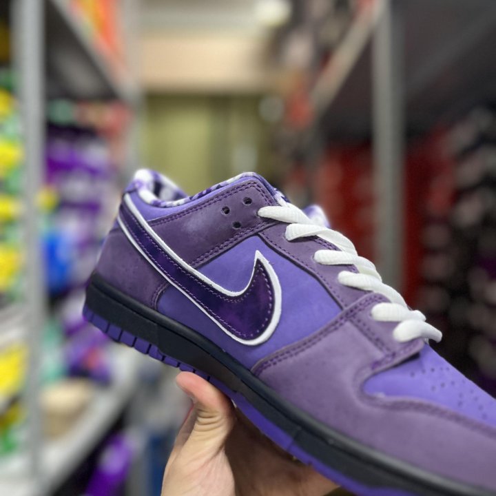 Nike SB Dunk Low Concepts Purple Lobster