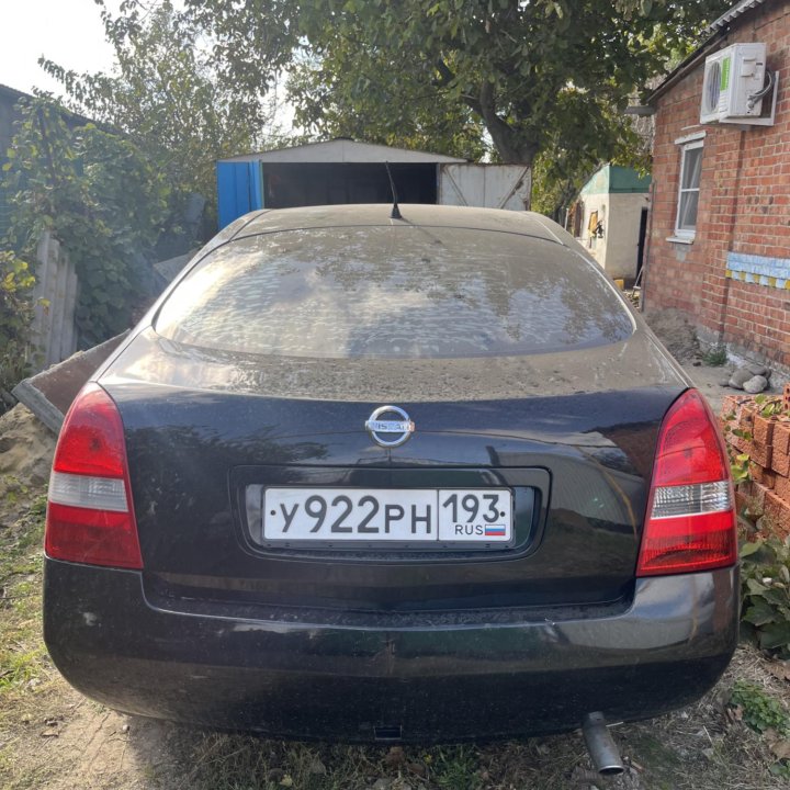 Nissan Primera, 2004