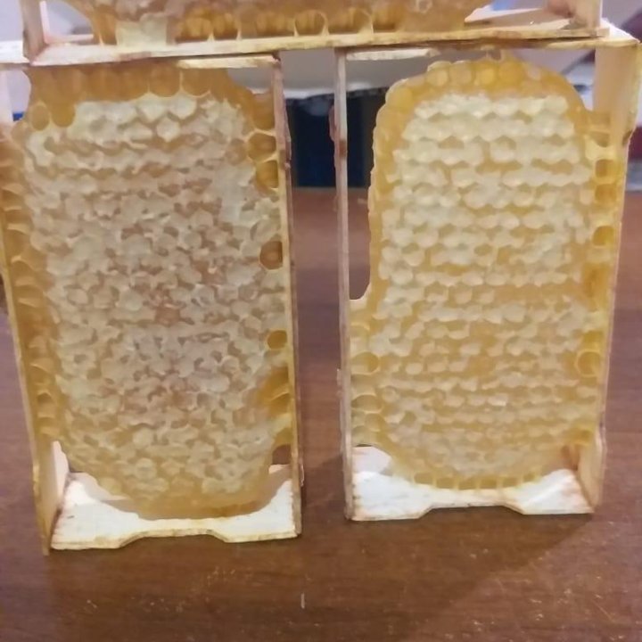 МЁД и продукты пчеловодства.