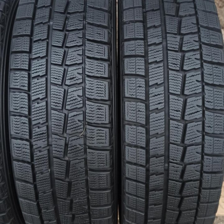 175/65R14 Dunlop winter maxx WM-01